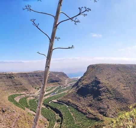 فيلا Casa Azuaje Moya  المظهر الخارجي الصورة